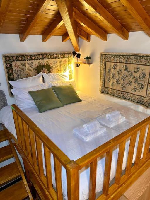 فيلا Casa Do Moinho Friastelas المظهر الخارجي الصورة